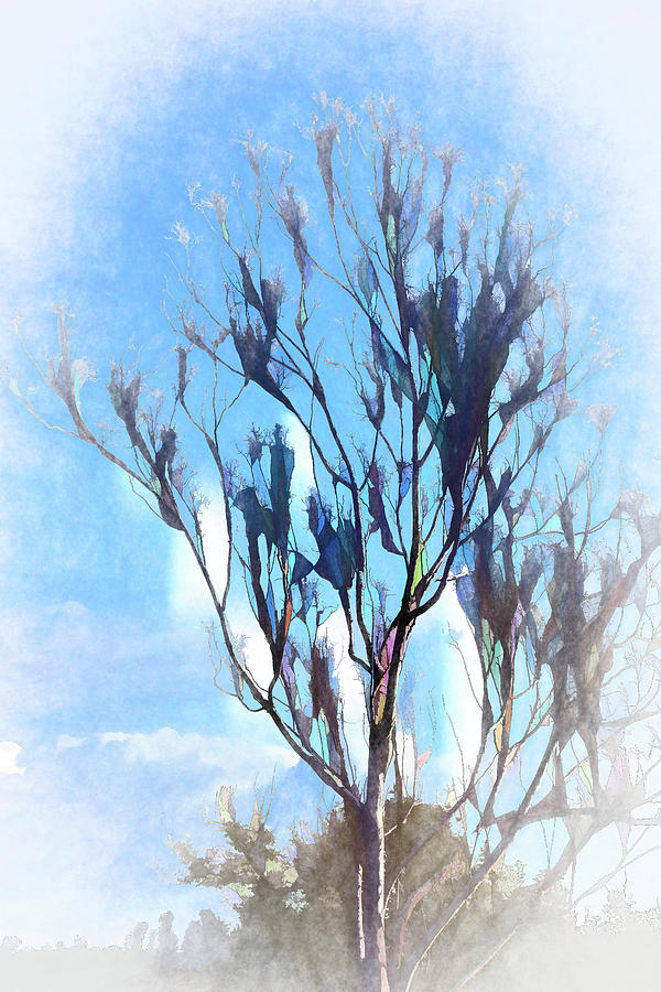 Winter Tree Abstract 4 Digital Art by Linda Brody