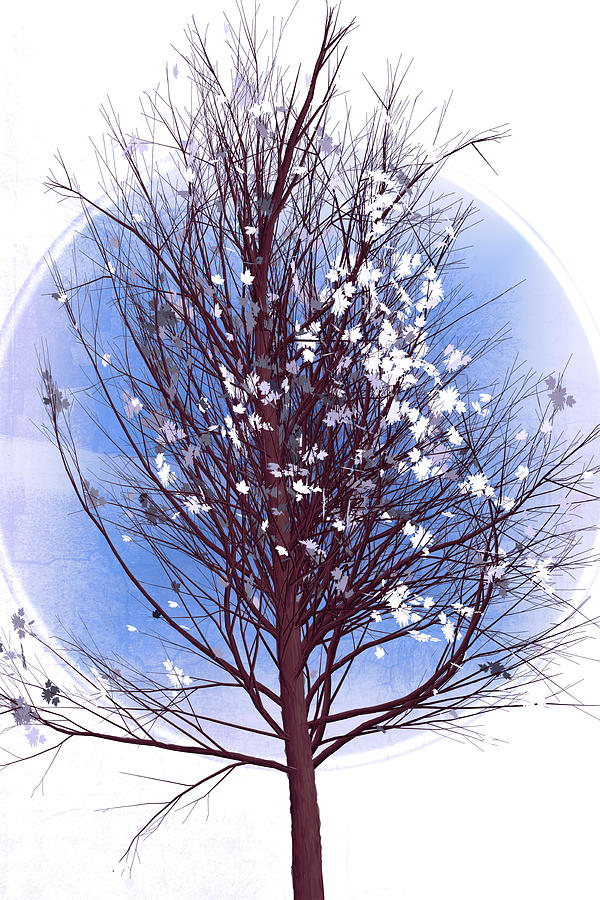 Winter Tree at First Frost Digital Art by Debra and Dave Vanderlaan