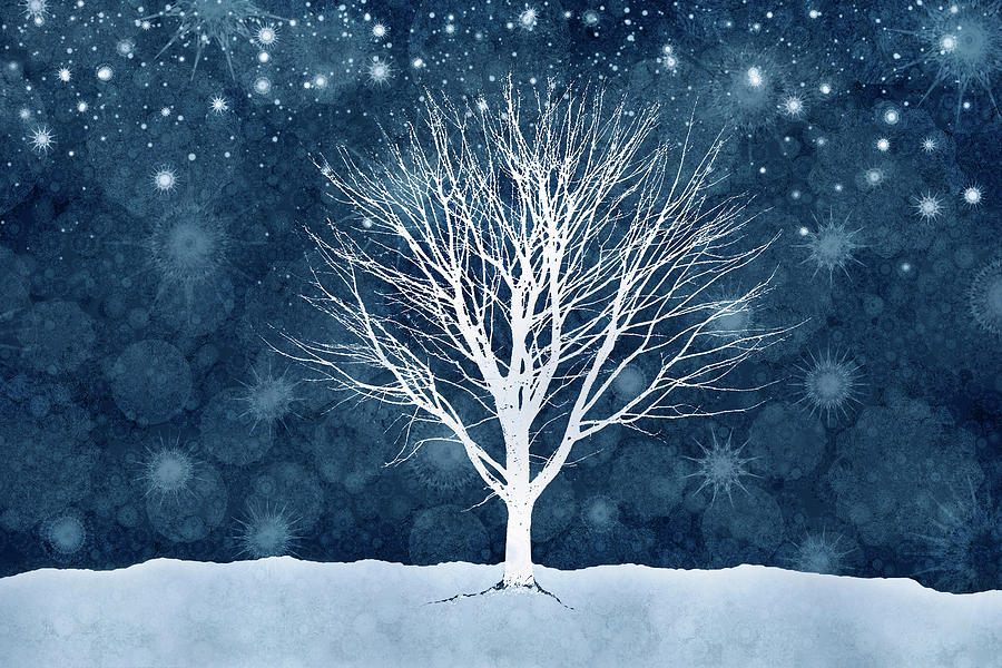 Winter Tree Beneath A Starlit Sky Digital Art by Andrew Bret Wallis