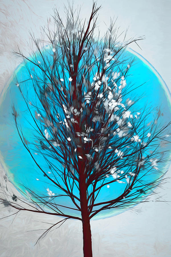 Winter Tree in Beachy Blues Digital Art by Debra and Dave Vanderlaan