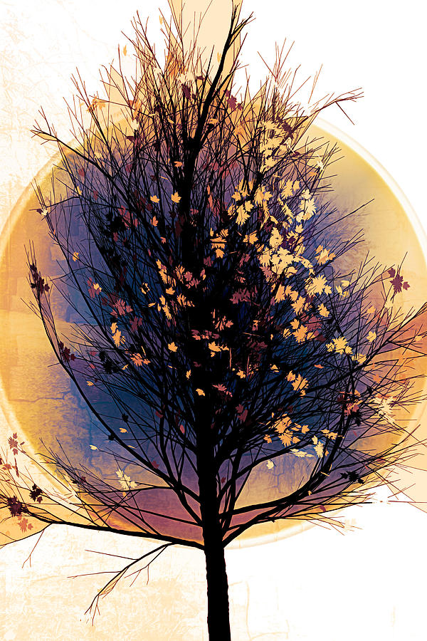 Winter Tree in Golds  Digital Art by Debra and Dave Vanderlaan
