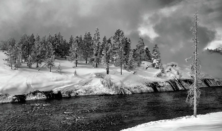 Winter Treeline Photograph by Art Cole