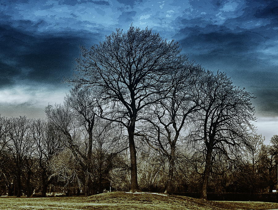 Winter Trees And Dark Skies Photograph by Jeff Townsend