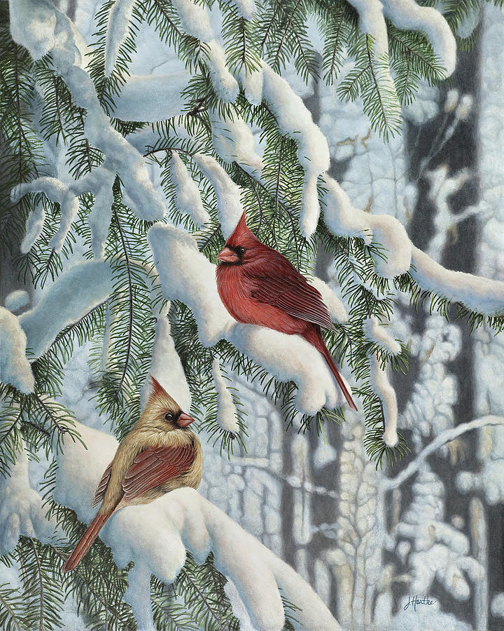 Winter Visitors Painting by Judith Hartke - Fine Art America