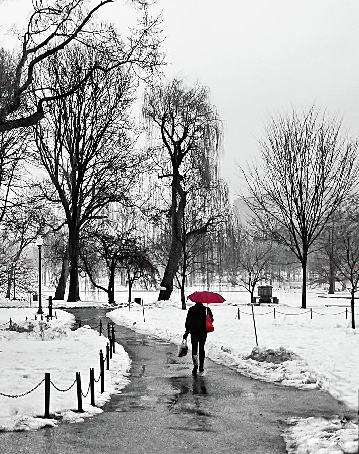 Winter Photograph - Winter Walk on a Rainy Day by Lyuba Filatova