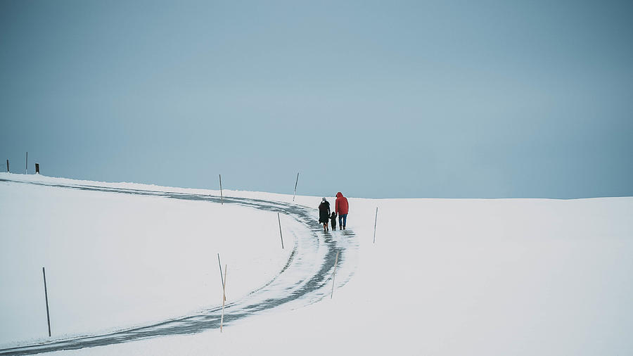 Winter Photograph - Winter Walk by Renate Wasinger