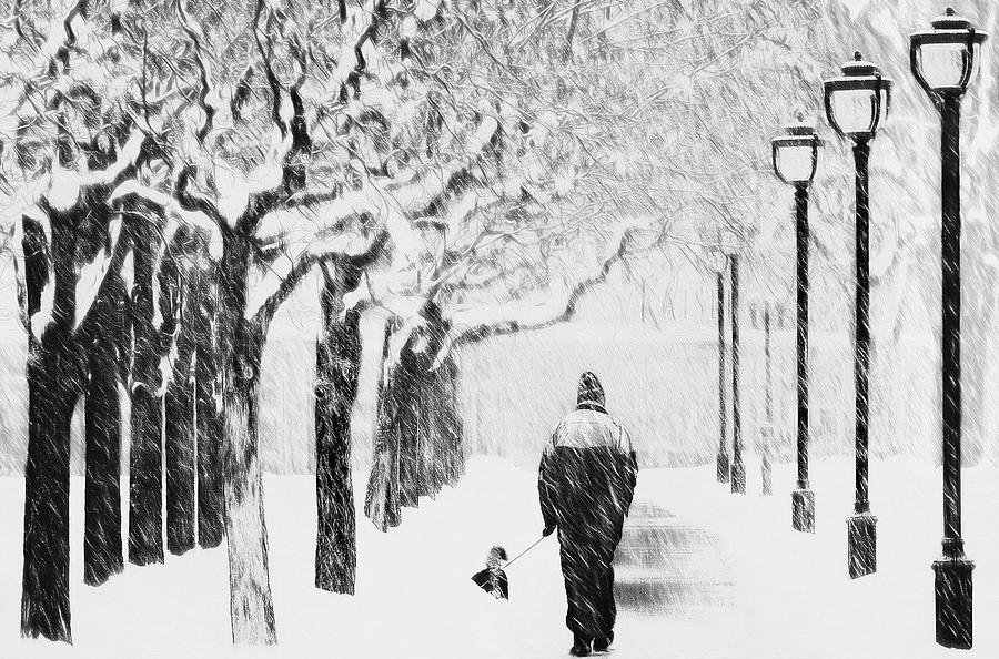 Winter Photograph - Winter Walk by Samanta Krivec