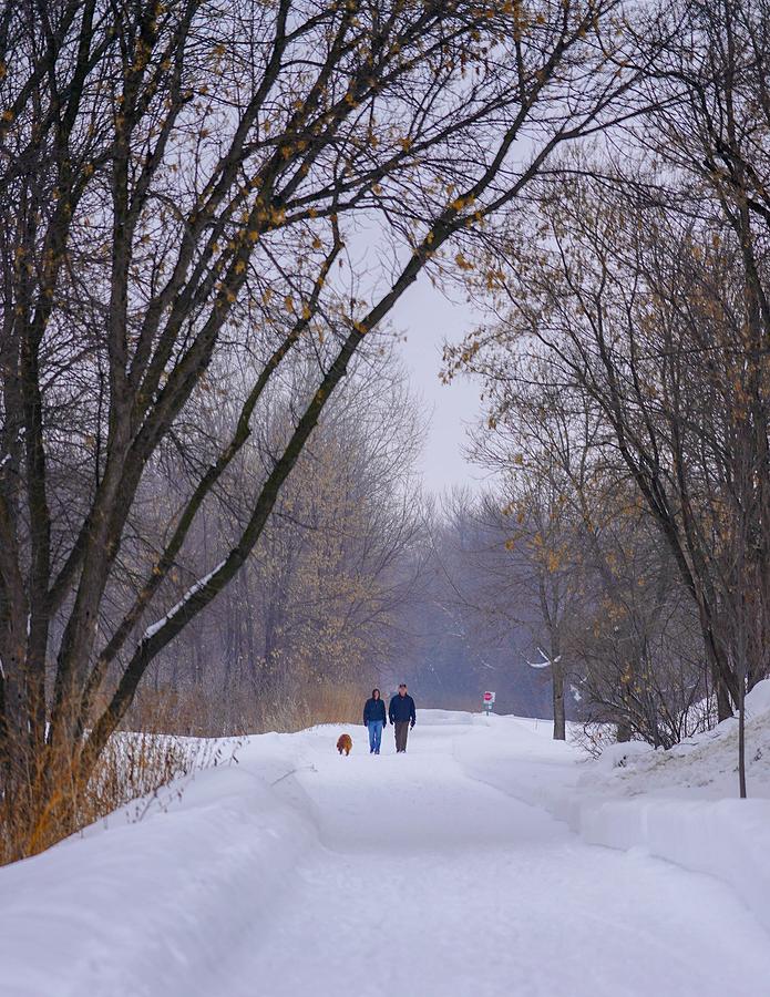 Winter Walk Photograph by Susan Rydberg