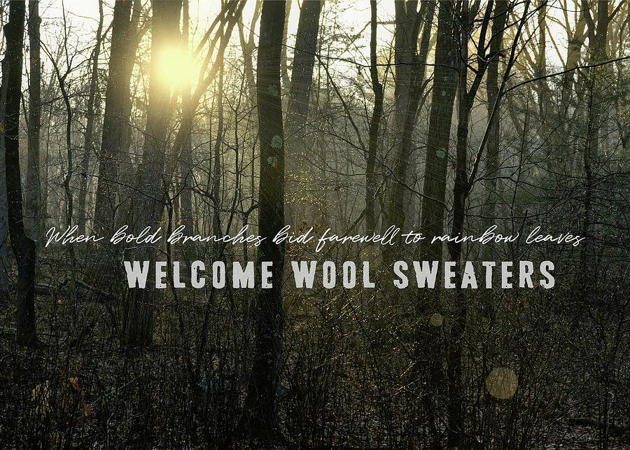 Winter Warmth Quote Photograph