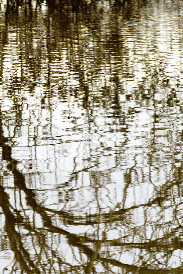 Winter Water Reflection - 19-5012 by Tari Kerss Winter Water Reflection - 19-5012 by Tari Kerss