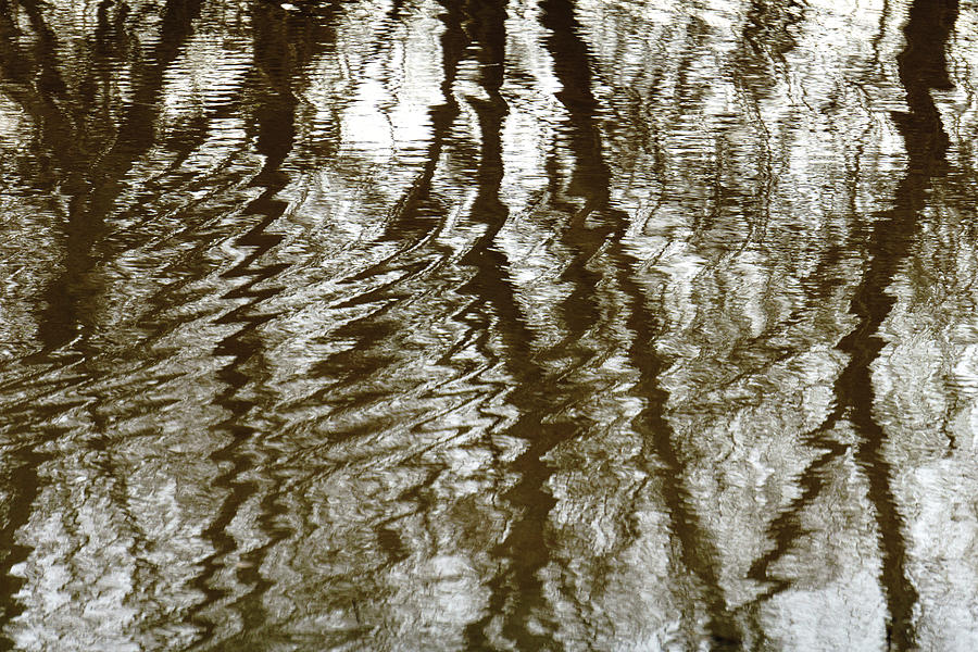 Winter Water Reflection - 5059-19 by Tari Kerss Winter Water Reflection - 5059-19 by Tari Kerss