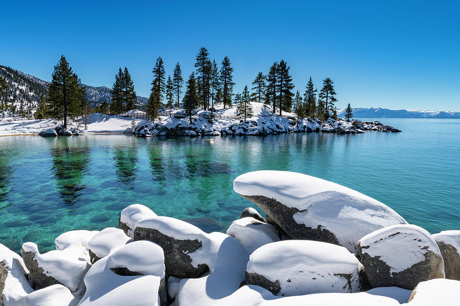 Tree Photograph - Winter Wave - Sand Harbor Lake Tahoe by Brad Scott by Brad Scott