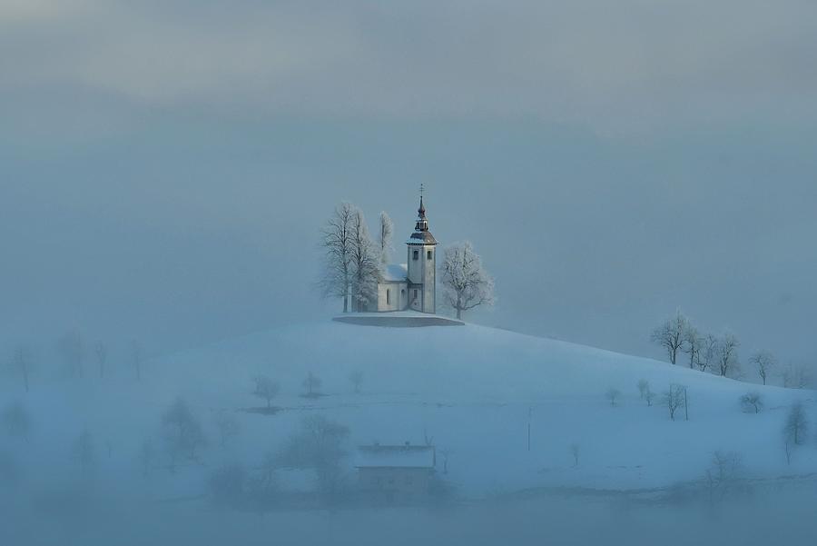 Winter White Photograph by Bojan Kolman