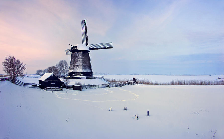 Winter Windmill Photograph by Jacobh
