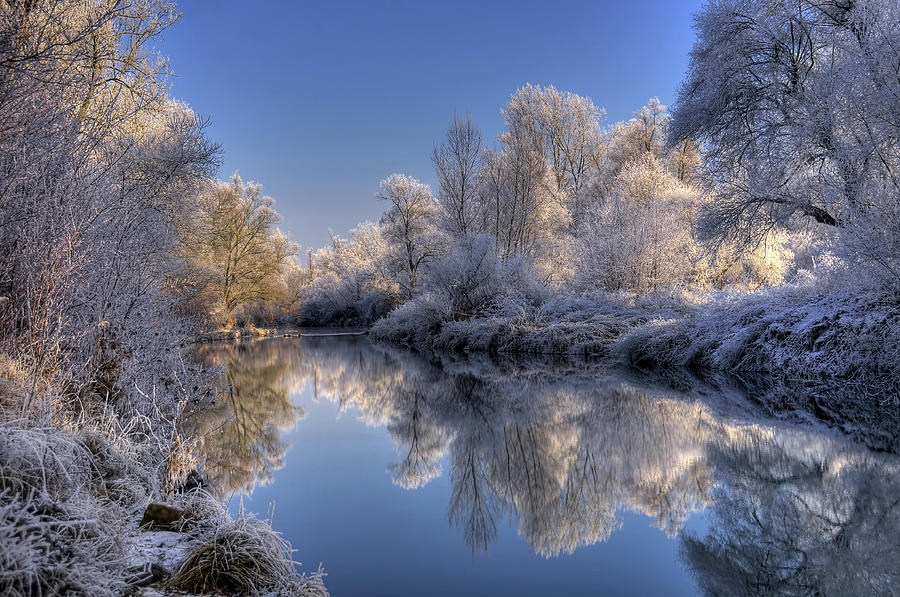 Winter With Frozen Trees Photograph by Philippe Sainte-laudy Photography
