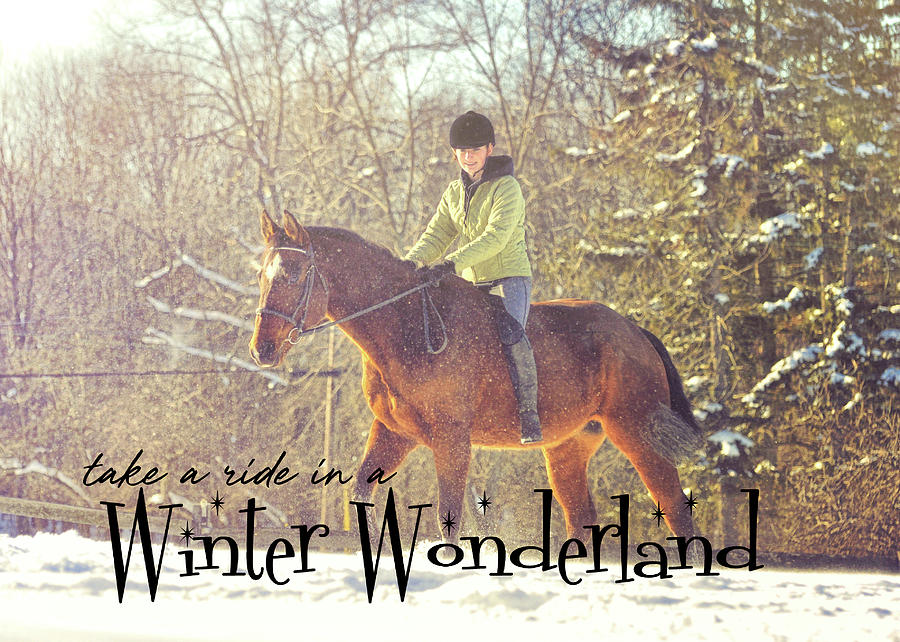 Winter Wonderland Photograph by Dressage Design
