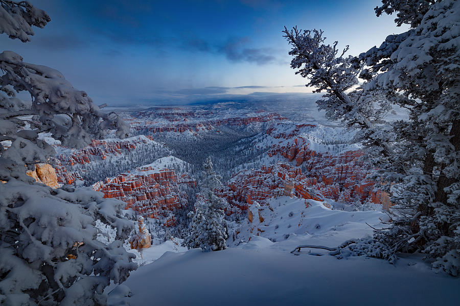 Bryce Canyon National Park Photograph - Winter Wonderland by Edgars