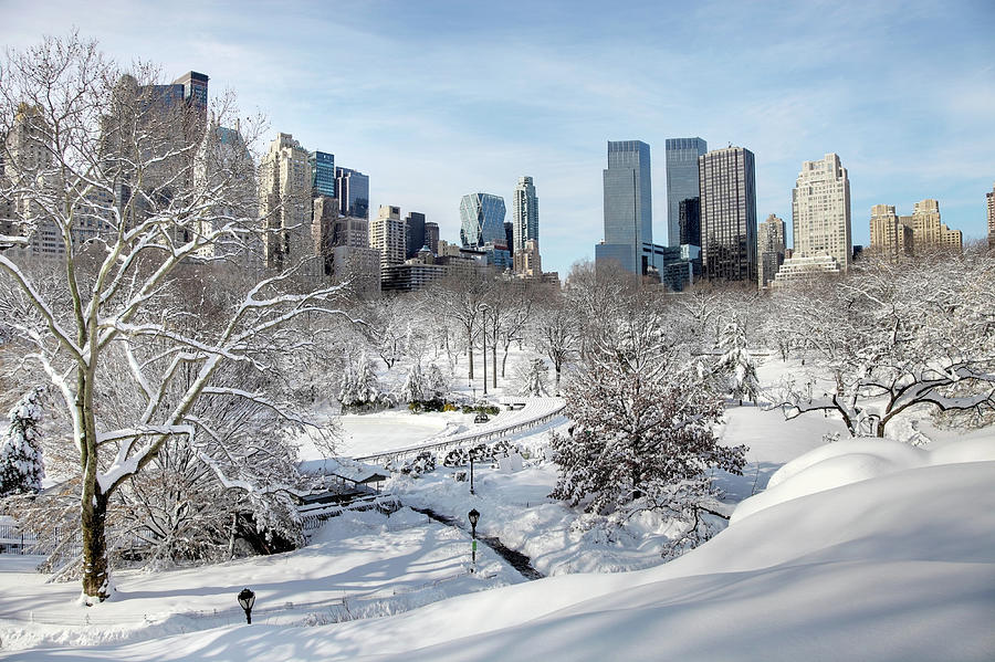 Winter Wonderland In Central Park Photograph by Denistangneyjr