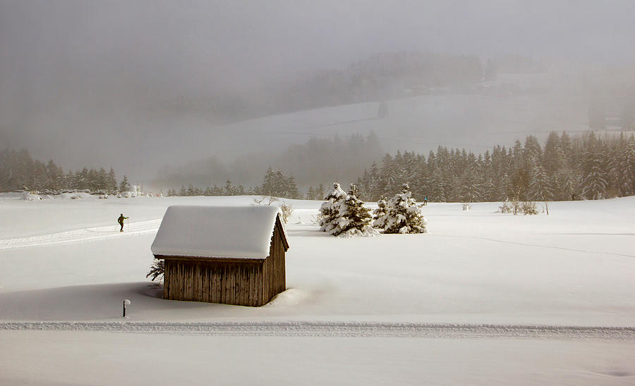 Winter Photograph - Winter Wonderland by Jrmgard Sonderer