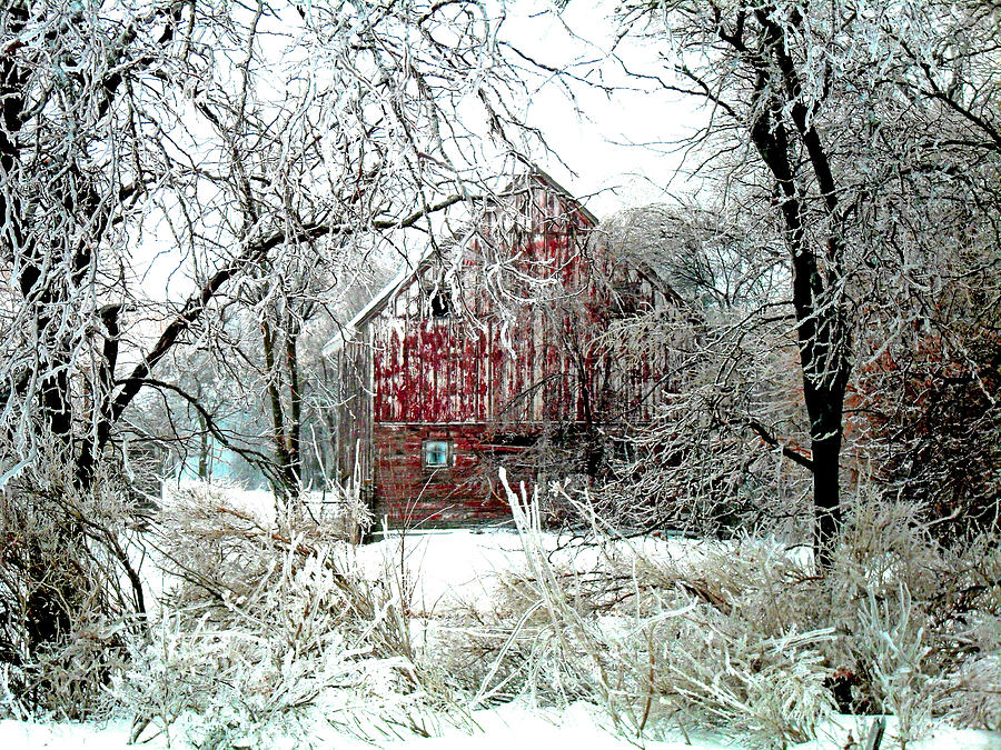 Christmas Photograph - Winter Wonderland by Julie Hamilton Christmas Photograph - Winter Wonderland by Julie Hamilton