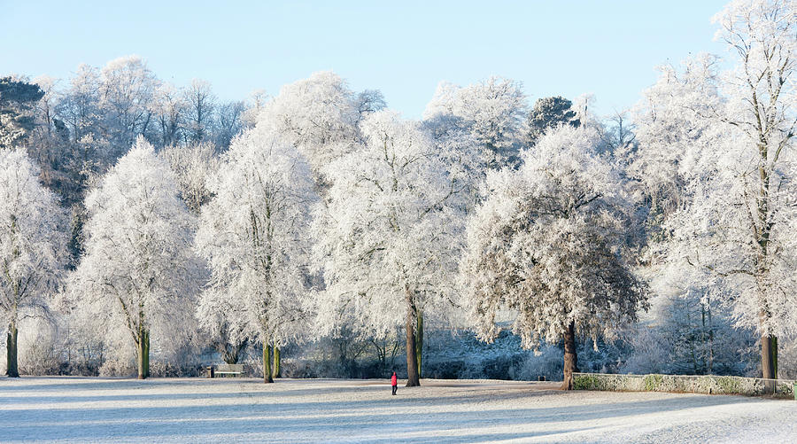 Winter Wonderland-lone Walker On Icy Photograph by Groomee