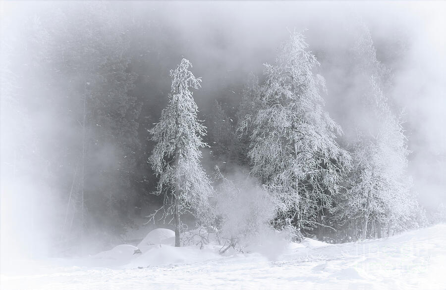 Winter Wonderland of Yellowstone without border Photograph by Priscilla Burgers