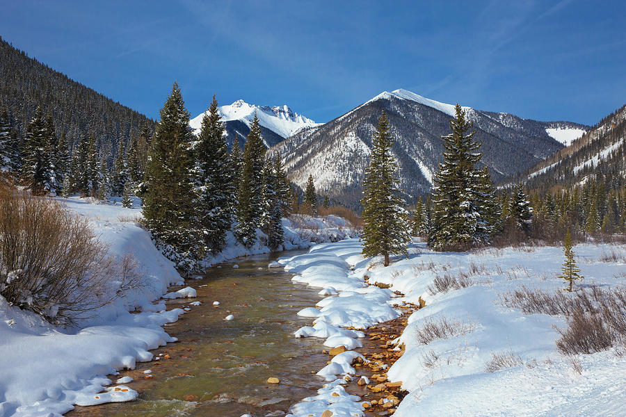 Winter Wonderland On Mineral Creek Photograph