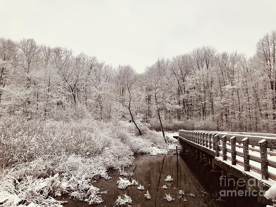 Winter Wooden Walk Photograph by Michael Krek