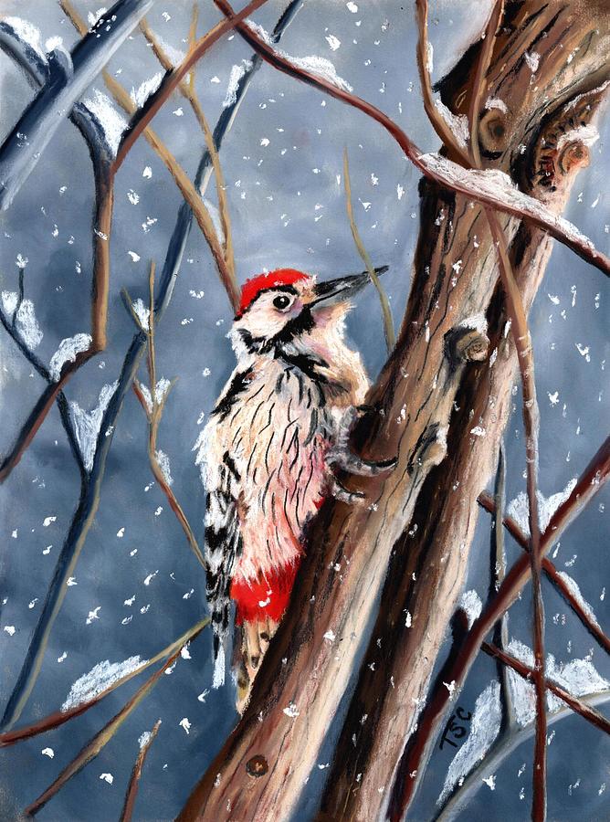 Winter Woodpecker Painting by Tammy Crawford