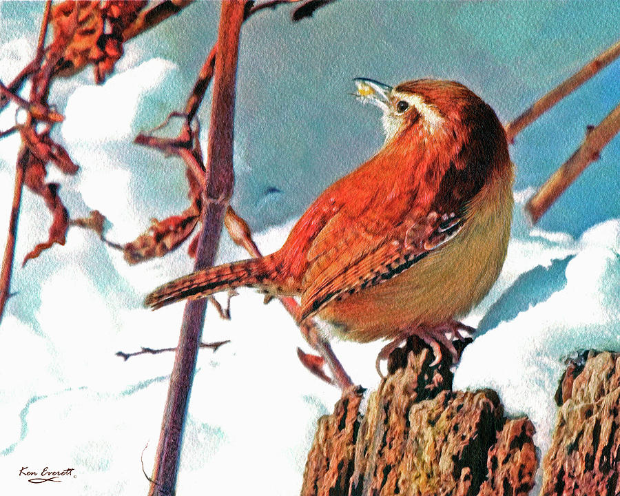 Wintering Carolina Wren Painting by Ken Everett
