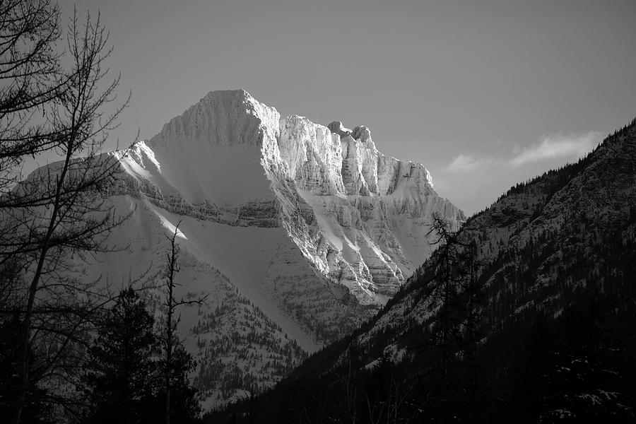 Wintering Peaks Photograph