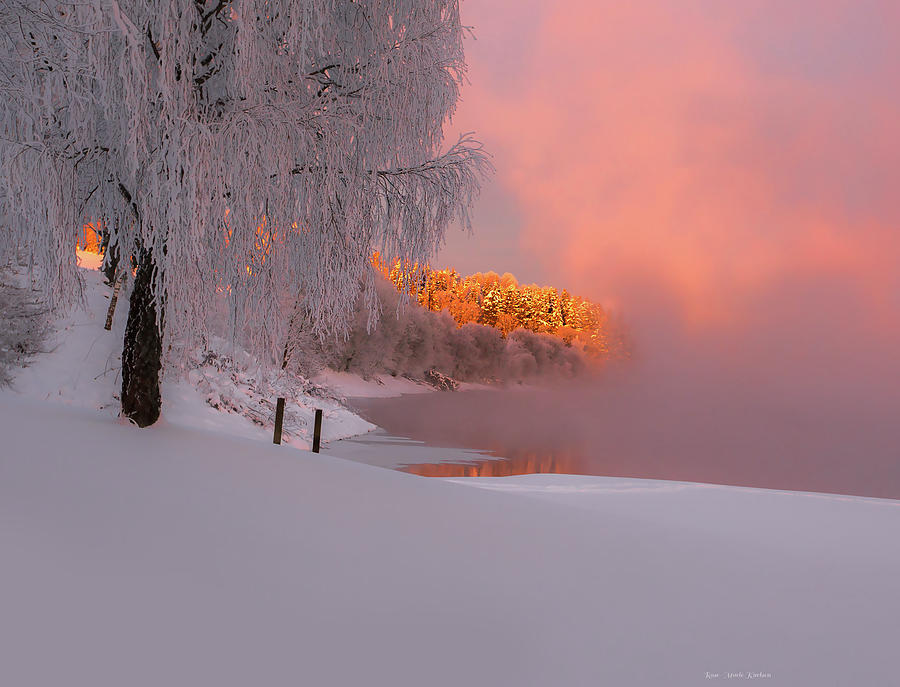 Winter Photograph - Winterlight by Rose-Marie karlsen
