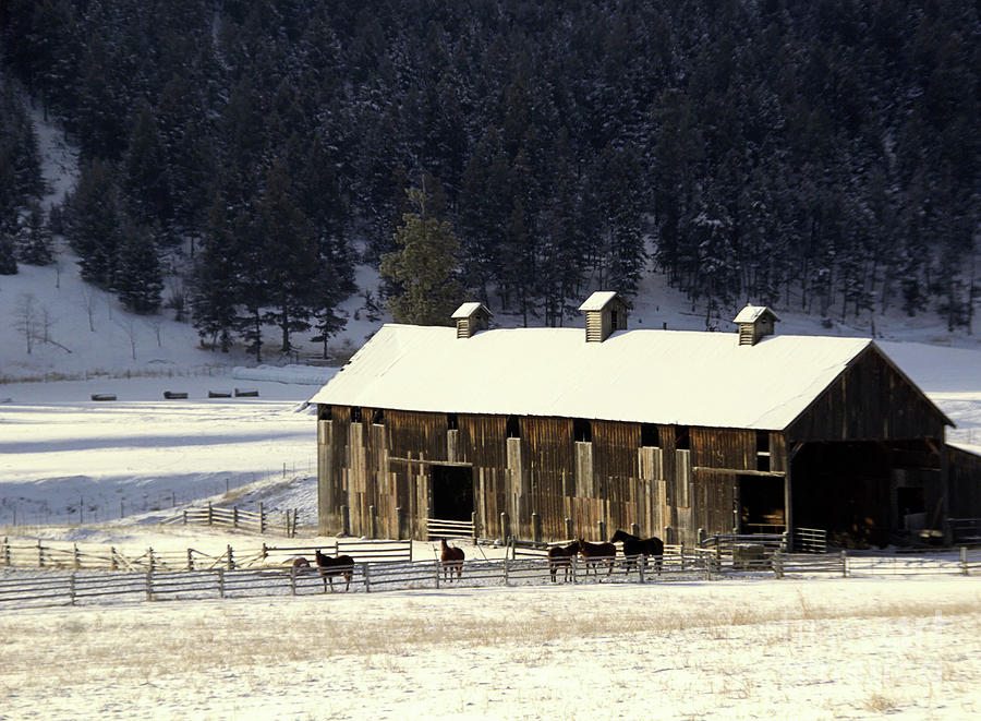 Winters Barn Photograph by Roland Stanke