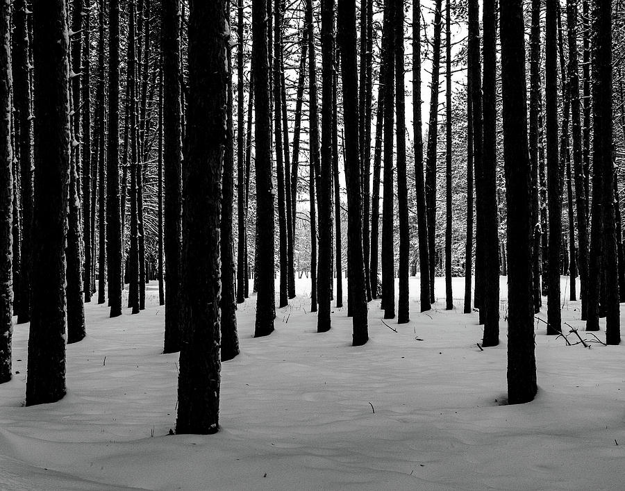 darkness winter figure