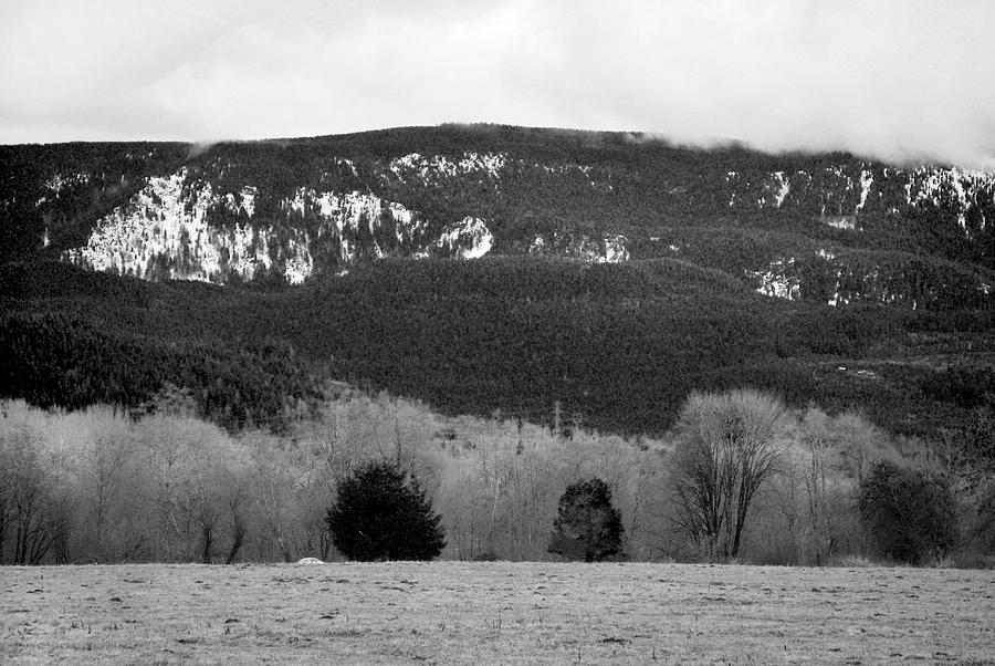 Winters field Photograph by Kathleen Grace