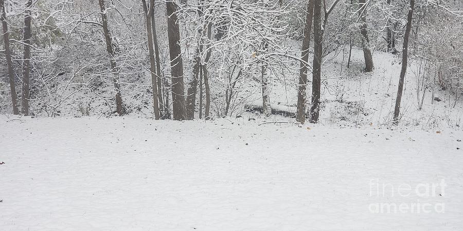 Winters First Snow Panorama Photograph by Eloise Schneider Mote