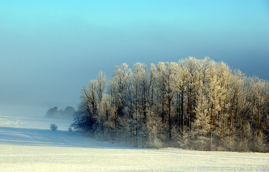 Winter's Heavy Frost by SimplyCMB Winter's Heavy Frost by SimplyCMB