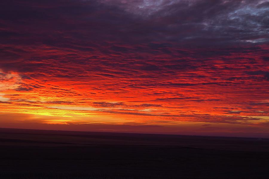 Winters red sunrise up close Photograph by Lynn Hopwood