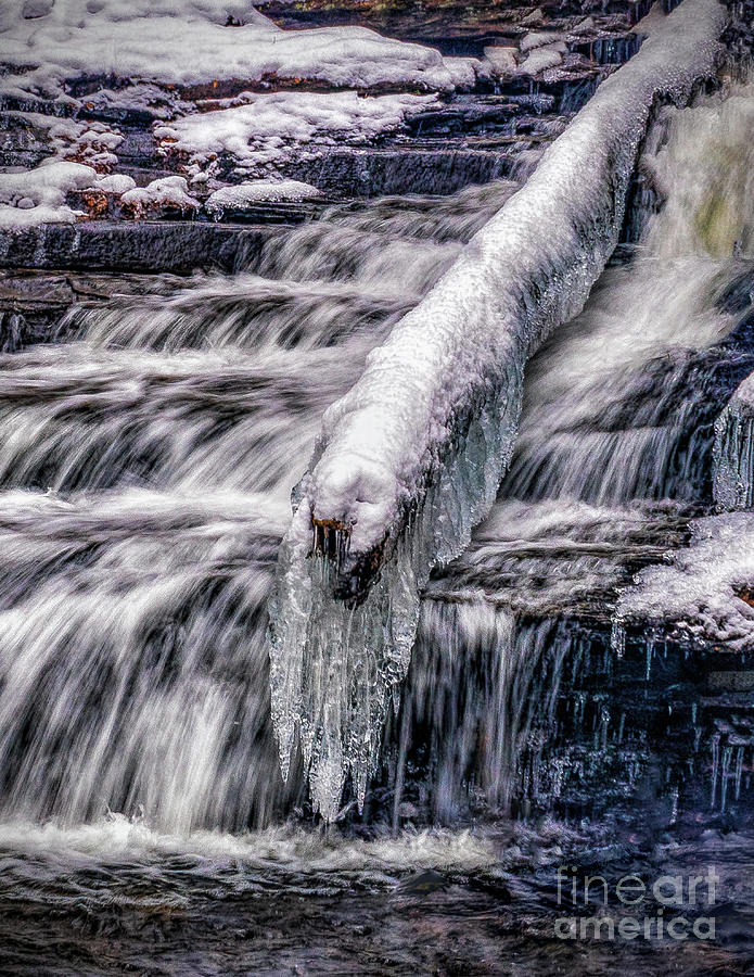 Winters Wonder by Nick Zelinsky Winters Wonder by Nick Zelinsky