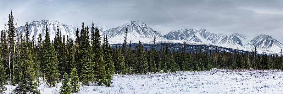 Mountain Photograph - Winterscape by Brenda Petrella Photography Llc