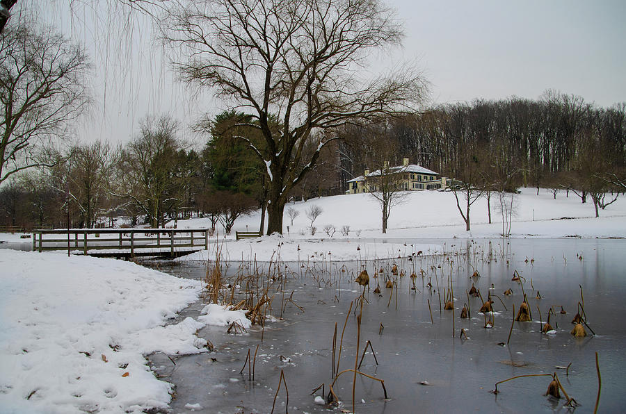 Winter Photograph - Wintertime at the Willows - Newtown Square by Bill Cannon