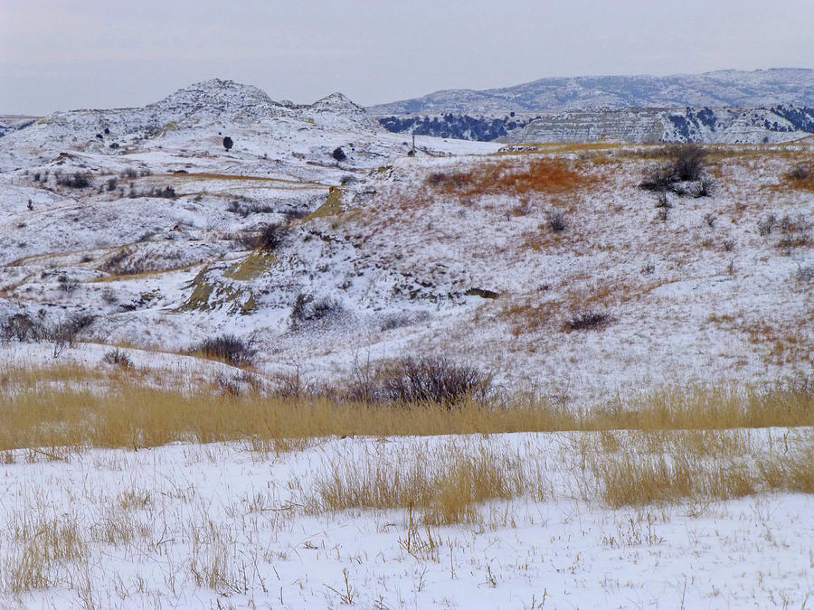 Wintery West Dakota Photograph by Cris Fulton