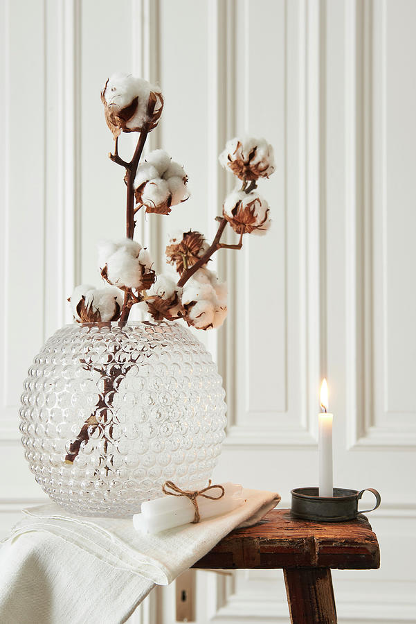 Wintry Arrangement Of Cotton Bolls In Glass Vase Photograph by Hsfoto