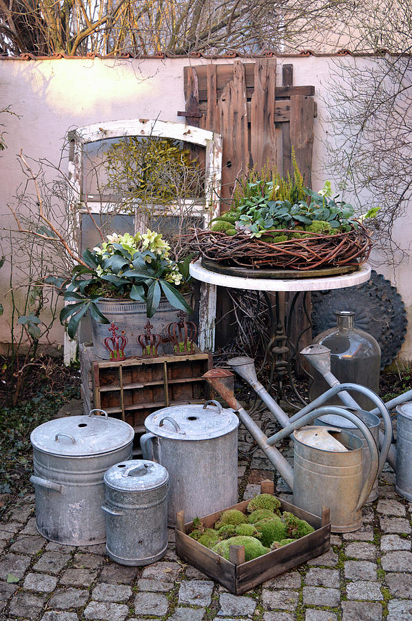 Wintry Arrangement Of Hellebores, Vine Wreath, Zinc Pots, Zinc Watering Cans And Crate Of Moss Photograph by Christin By Hof 9