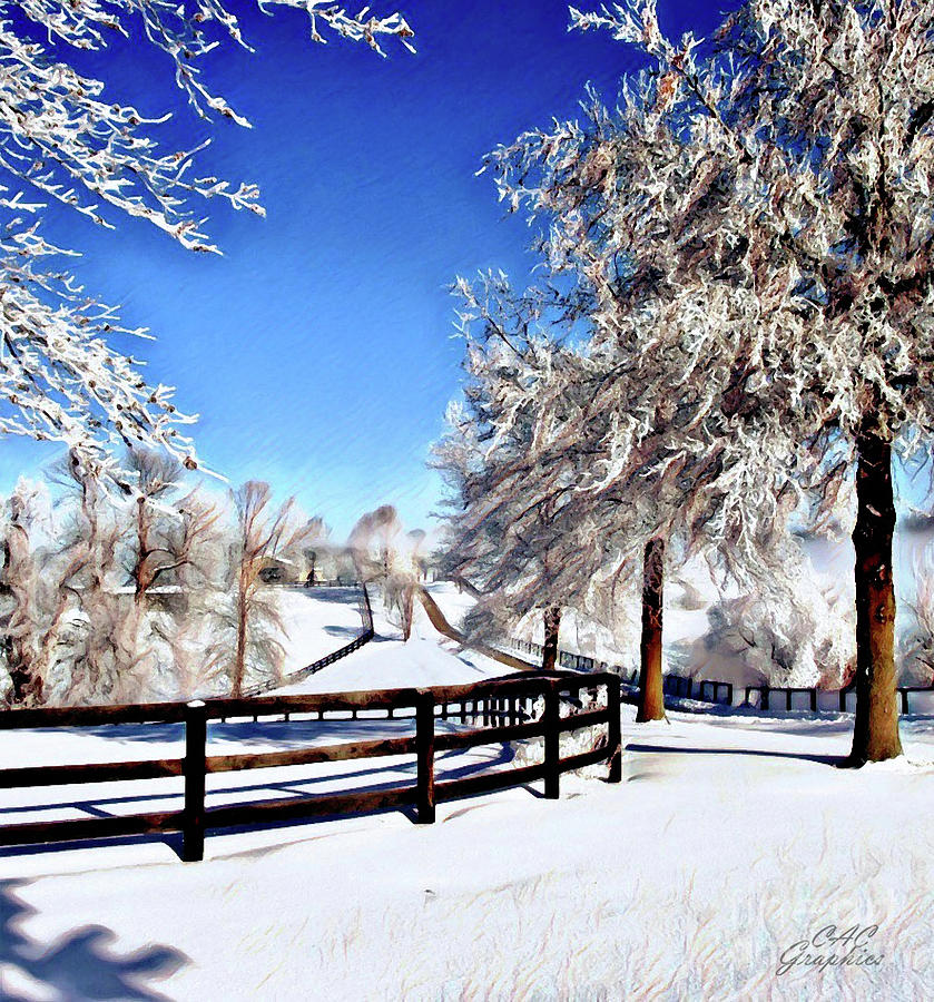 Wintry Lane Digital Art by CAC Graphics