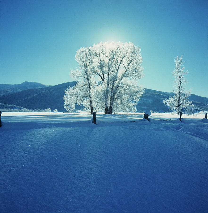 Wintry Scene Photograph by Archive Photos - Fine Art America