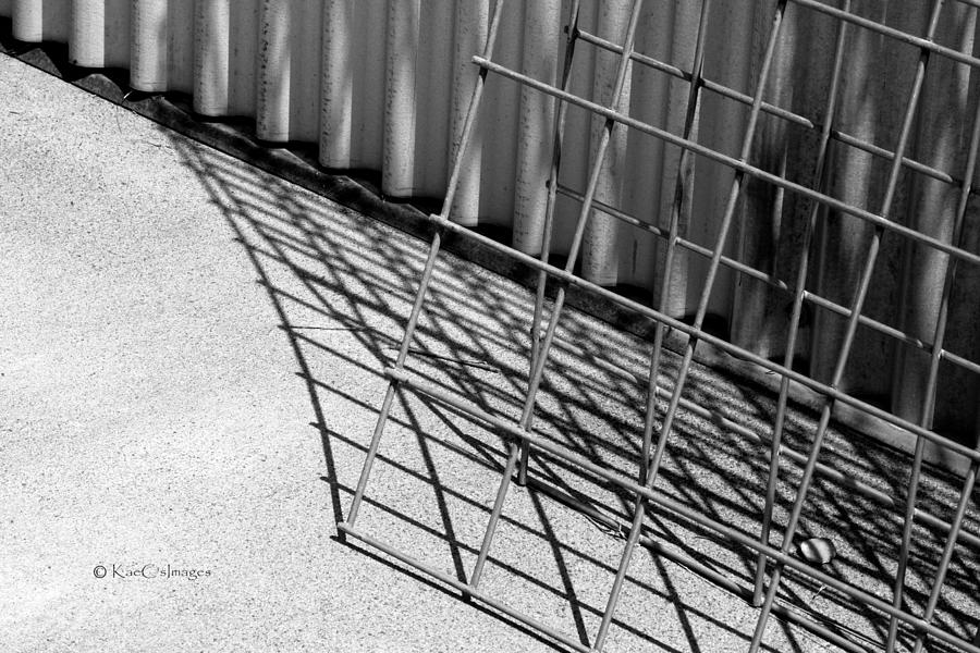 Hog Wire and Corrugated Steel  Photograph by Kae Cheatham