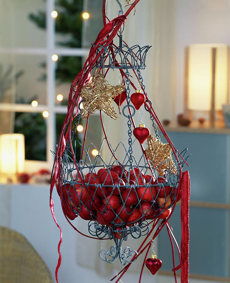 Christmas Photograph - Wire Basket Decorated For Advent With Red Apples by Friedrich Strauss
