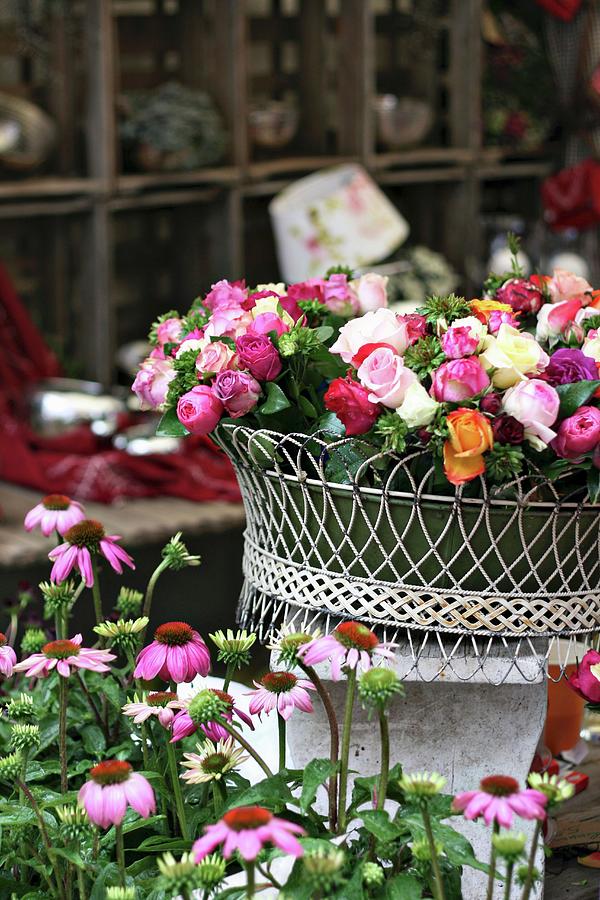 Wire Basket Of Spray Roses Photograph by Alexandra Panella