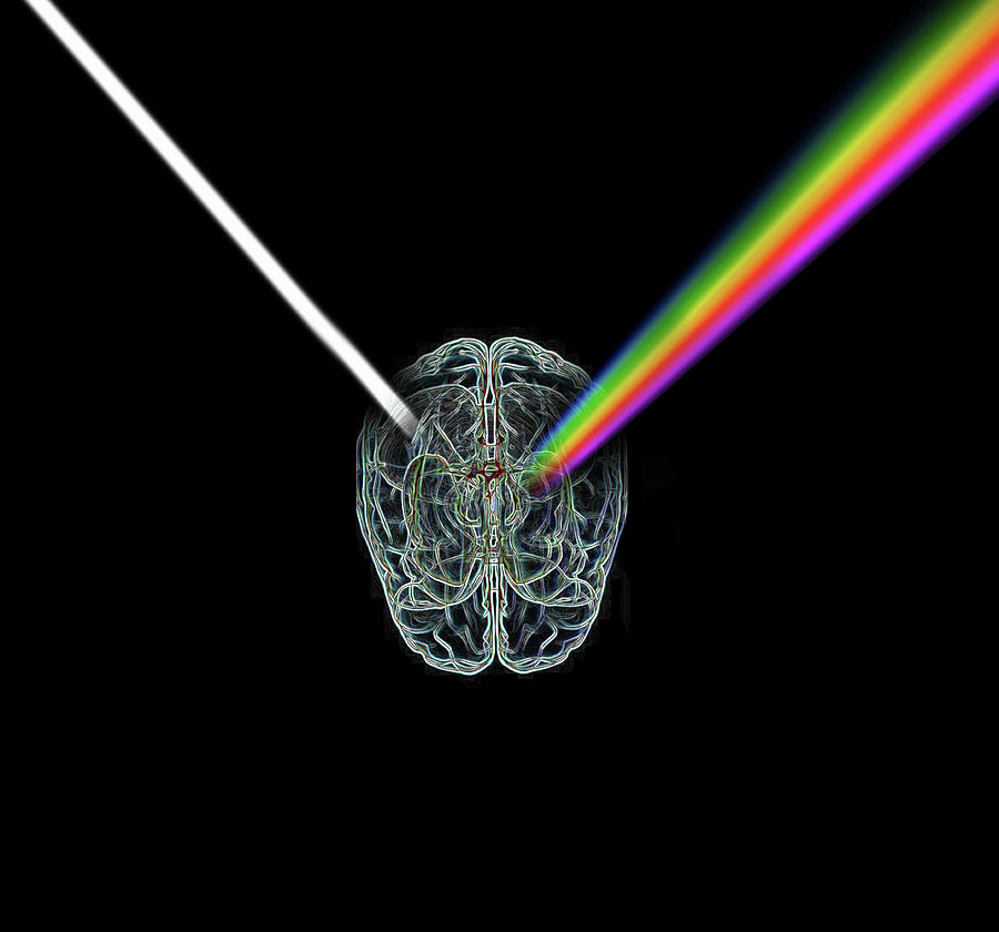 Wire Brain Refracting Light As A Prism Photograph by Ikon Images